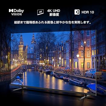 Amazon | FPD チューナーレス テレビ 4K 65インチ Google TV 65V